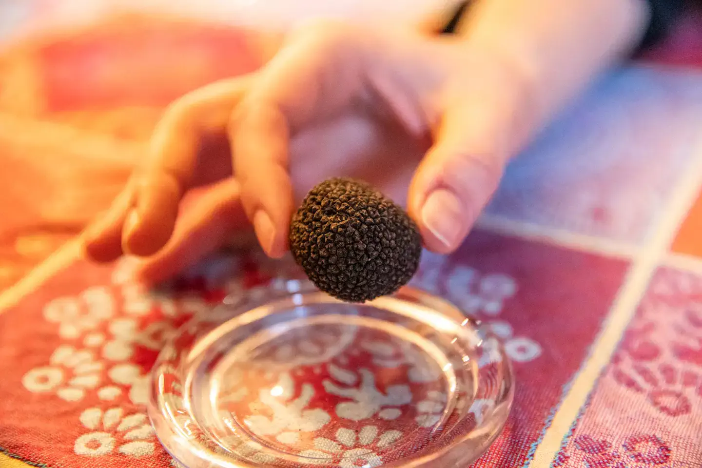 Atelier sensoriel autour de la truffe