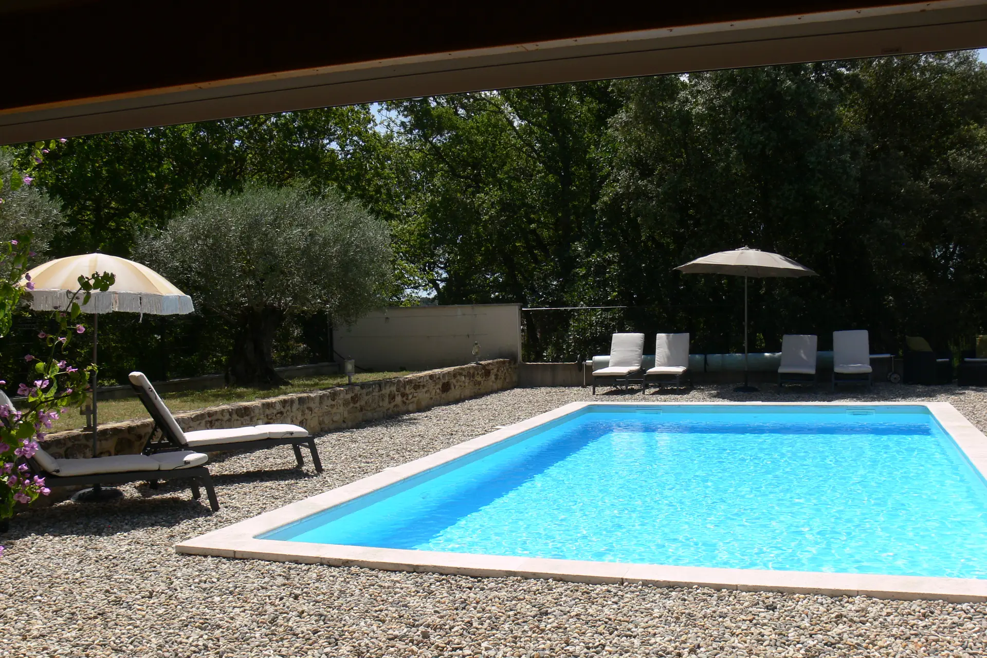 Piscine de la chambre d’hôtes La Romagnolette entourée d’oliviers en Drôme provençale